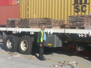 WhatsApp Image 2026-03-12 at 20.46.18 (2)