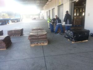 WhatsApp Image 2026-03-12 at 20.46.59 (1)