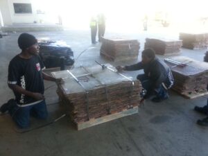 WhatsApp Image 2026-03-12 at 20.46.59 (2)