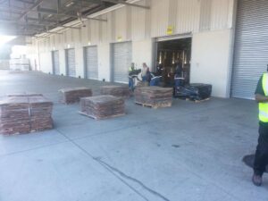 WhatsApp Image 2026-03-12 at 20.46.59