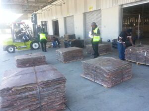 WhatsApp Image 2026-03-12 at 20.47.00